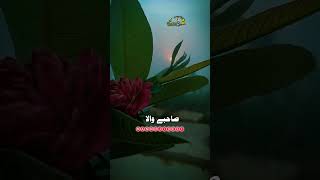 بیلی بیوفا😭💔🥀 shorts viralvideo [upl. by Uahsoj]