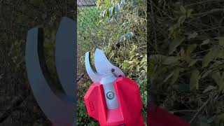 Milwaukee M12 Shears Initial Test [upl. by Bard]