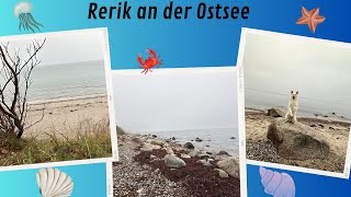 Rerik an der Ostsee [upl. by Atsed936]