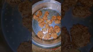 Crispy dal pakoda with chattni😋😋😋shortvideo mini vlog [upl. by Eusadnilem17]