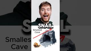 🐌 vs 🐆 – Epic Cave Race Who Wins [upl. by Shannen79]