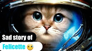 What Happened TO Felicette In Space Sad Story Of Felicette😓 ScientificTube [upl. by Idnym]