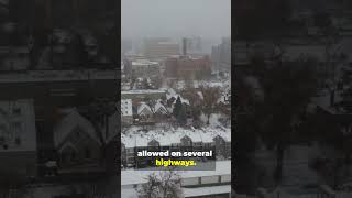 Colorados snowstorm goes out with a bang on Friday dinostrend [upl. by Dlorrej]