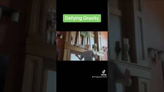 “Defying Gravity” From “Wicked” Maggie Peterson [upl. by Kiele]