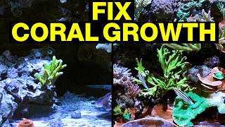 Top 10 Reasons Your Corals Are Not Growing and How to Fix Them [upl. by Aeel]