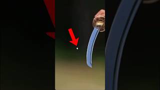 Katana Vs Bullet in Hindi MrBeast Karangaming007b2v [upl. by Ardeen749]