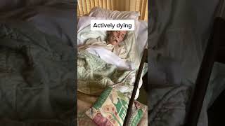 Video of Actively dying [upl. by Birecree]