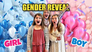 Triplet GENDER REVEAL [upl. by Eimrej486]