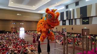 PreCNY 2024  Acrobatic Lion Dance by 群樂 Khuan Loke at SJK C Serdang 2 [upl. by Om]