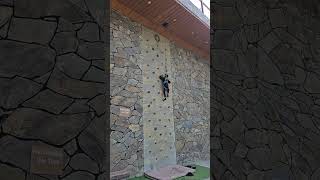 Dangerous Encounter  Wall Climbing travel foryou shorts [upl. by Morlee343]