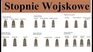 Stopnie wojskowe w Polsce  proste omówienie i opis [upl. by Ordway]