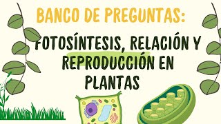 Práctica de biología Fotosíntesis relación y reproducción en plantas [upl. by Oriana]