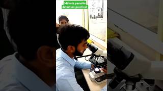 Plasmodium parasite  gametocyte stage malaria parasiteshorts trendingshorts by Akhilesh sir [upl. by Arvo556]