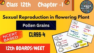 Class 12th Biology  Ch  1 Lec 4  Pollen Grains  Structure Development and Applications EN [upl. by Cirek175]