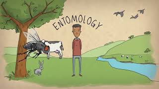 What is an entomologist [upl. by Llevert]