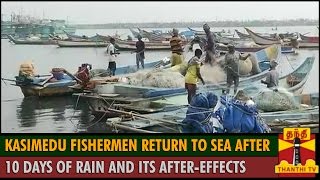 Kasimedu Fishermen Return to Sea after 10 Days of Rain and its aftereffects  Thanthi TV [upl. by Hailee]