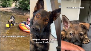 Things All German Shepherd Owners Understand [upl. by Otero]