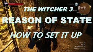 The Witcher 3  How To Set Up The Reason of State Quest  Guide [upl. by Layton]