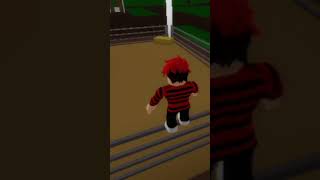 Item secreto do brookhaven roblox [upl. by Laehplar]