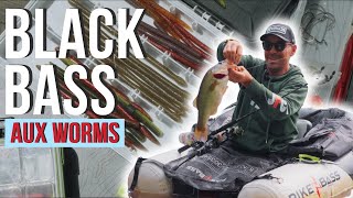 Tuto pêche du BLACKBASS aux worms  La Minute Carna [upl. by Ardnuahsal]