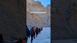 Chadar The Frozen River Trek I Ladakh l India [upl. by Cullan]