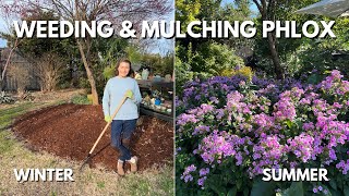 Weeding amp Mulching a perennial garden [upl. by Thorsten474]