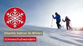 Schneeschuhwandern in Disentis Sedrun [upl. by Atirres]