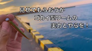 ワームで五目釣りならぬ六目釣りを達成してしまう、豊かな海での釣りの話【車中泊釣り旅北海道編・第9話】 [upl. by Gnouhc]