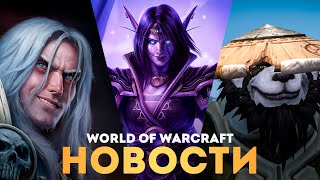 БОЛЬШОЙ АНОНС ОТ BLIZZARD Теперь Wow сильно изменится [upl. by Kyl465]