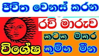 රවි මාරුව October  Lagna palapala  Cancer Capricorn  Aquarius  Pisces  Astrology reading [upl. by Laure912]