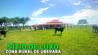 SÍTIO DE LUXO À VENDA COM 15 HECTARES EM UBERABAMG [upl. by Eelano156]