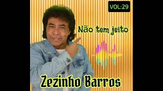 Zezinho barros música não tem jeito [upl. by Aenej]