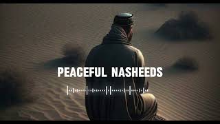 5 Soul healing Nasheeds 🤍 Arabic Nasheed  Muhammad Al Muqit nasheed [upl. by Nair]