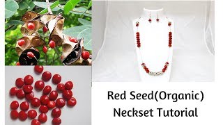 How to make Organic red seed NecksetSeed jewelry Paddy jewelery [upl. by Amedeo]