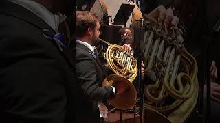 Mahler Symphony No5 Horn obbligato mahler classicalmusic orchestra horn music livemusic [upl. by Drahsar]