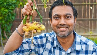 How To Make Ginger Tea  The Goods  CBC Life [upl. by Fletcher]