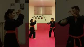 KAITEN MAWASHI GERI CALCIO VOLANTE GIRATO ACROBATICO ALLIEVI KENPO COMBAT JUJITSU WSDA AREZZO [upl. by Sirak]