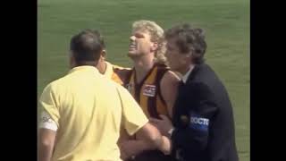 Rex Hunt calls HUGE MARK YEATES HIT on Dermott Brereton 1989 Grand Final [upl. by Lavinie]