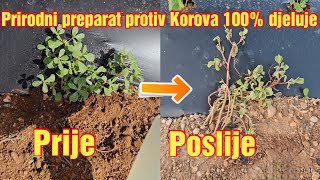 Oslobodite se korova zauvijek uz ovaj organski ekološki prihvatljiv herbicid [upl. by Togram]