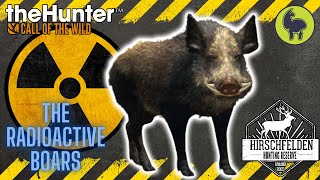 Tressler The Radioactive Boars Hirschfelden  theHunter Call of the Wild PS5 4K [upl. by Amsirahc]