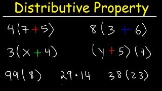 The Distributive Property of Multiplication [upl. by Shanon916]