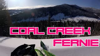 Coal Creek Snowmobiling Fernie BC 2020 [upl. by Naegem]