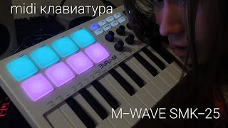 MWAVE SMK25 обзор БЮДЖЕТНАЯ midi клавиатура [upl. by Leirua260]