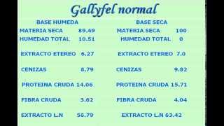 ALIMENTO ESPECIAL PARA GALLOS DE PELEA GALLYFEL [upl. by Kalle]