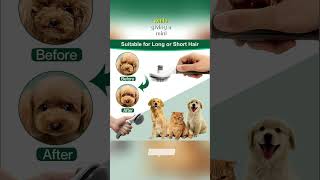 Revolutionize Pet Grooming with SelfCleaning Slicker Brush 🐈PetGrooming SlickerBrush PetCare [upl. by Yborian]