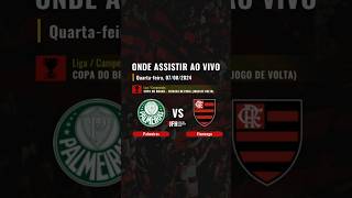 Onde assistir Palmeiras x Flamengo ao vivo Copa do Brasil  oitavas de final volta  07082024 [upl. by Quintin]