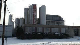 Farmland Dairies in Wallington is Closing Resulting in 325 Layoffs [upl. by Nytsyrk34]