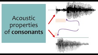 Speech Acoustics 6  consonants [upl. by Michella302]