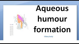 Ophthalmology Aqueous humor formation ultrafiltration secretion active transport diffusion diurnal [upl. by Attener]