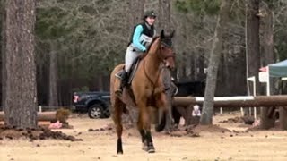 Stable View Eventing Academy February 2024 — Starter Cross Country Part 1 of 2 [upl. by Appel]